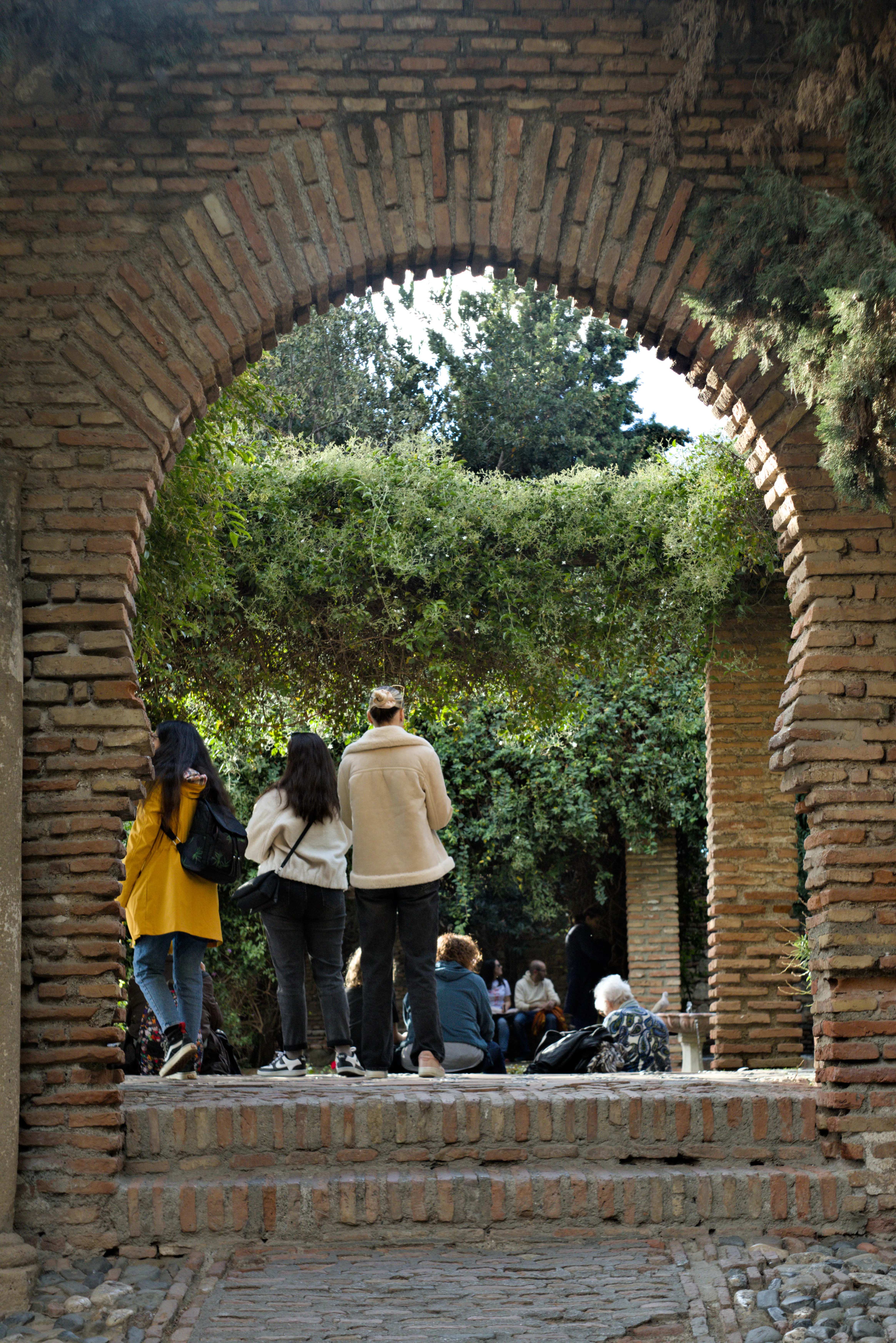 Meyer-Optik Görlitz Primagon 35mm f4.5 (M42) - _I4A7334.webp